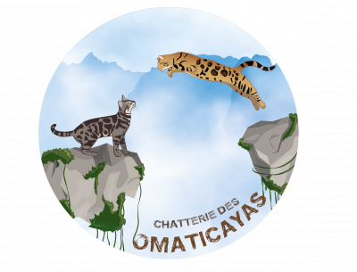 Chatterie des Omaticayas