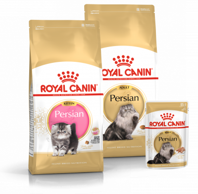 Croquettes et bouchées pour chat Persan Royal Canin