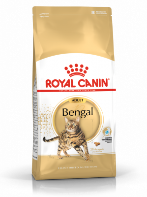 Croquettes Bengal Adulte Royal Canin