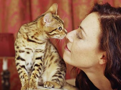 Adopter un chat ou un chaton : tout savoir sur l’adoption