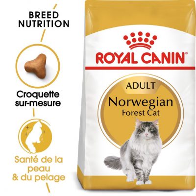 Croquettes pour chat norvégienadulte Royal Canin