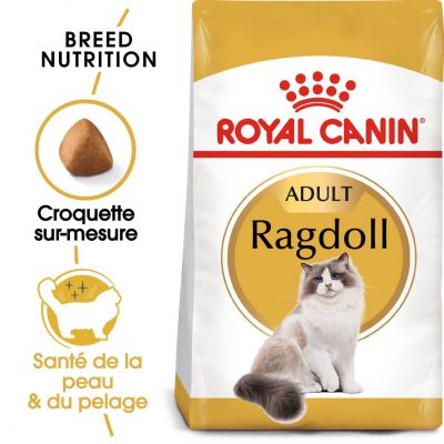 Croquettes pour Ragdoll Royal Canin