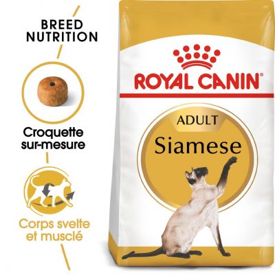 Croquettes pour chat siamois Royal Canin