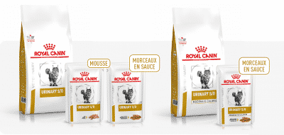 Gamme pour chats urinary Royal Canin